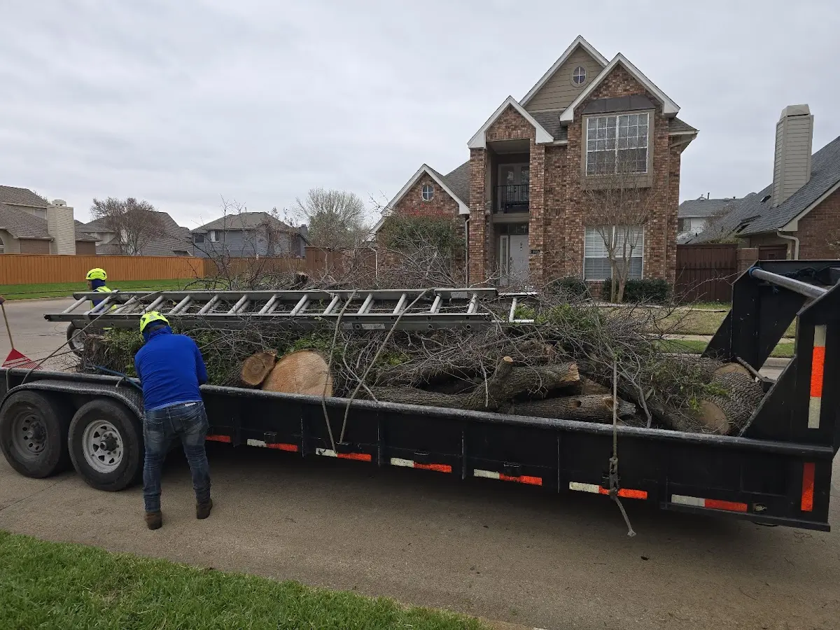 Expert Tree Removal with proper safety equipment in Rensselaer Falls